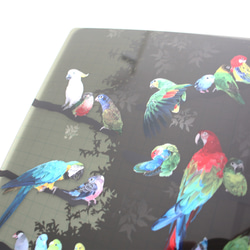 B5サイズ下敷き「彩色羽図」 4枚目の画像