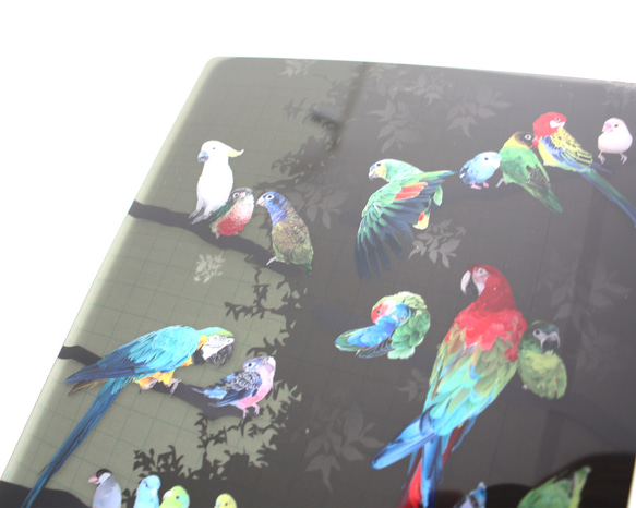 B5サイズ下敷き「彩色羽図」 4枚目の画像