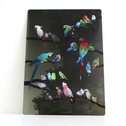 B5サイズ下敷き「彩色羽図」 1枚目の画像