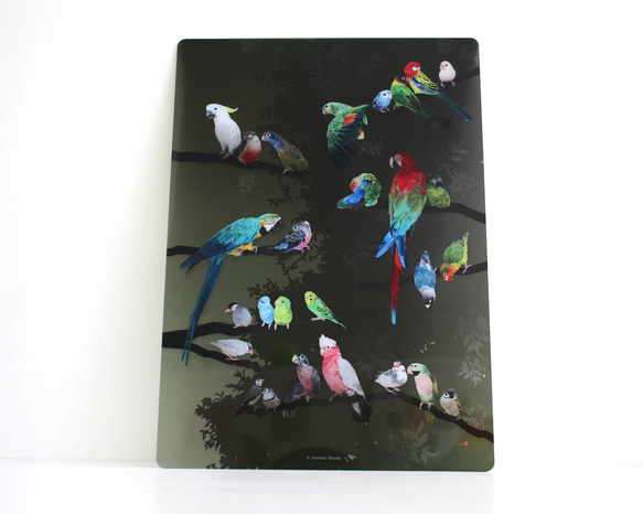 B5サイズ下敷き「彩色羽図」 1枚目の画像