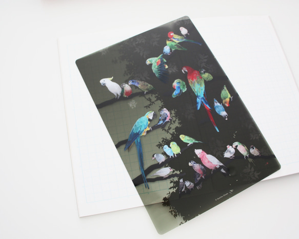 B5サイズ下敷き「彩色羽図」 9枚目の画像