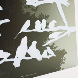 B5サイズ下敷き「彩色羽図」 8枚目の画像