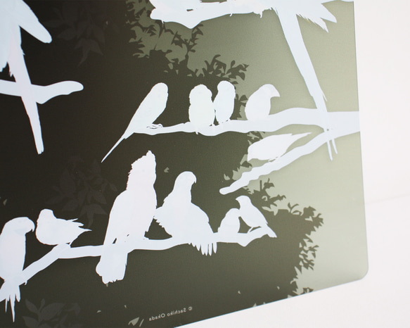 B5サイズ下敷き「彩色羽図」 8枚目の画像