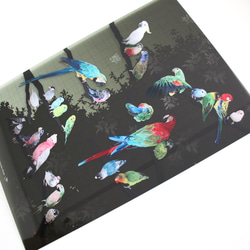 B5サイズ下敷き「彩色羽図」 6枚目の画像