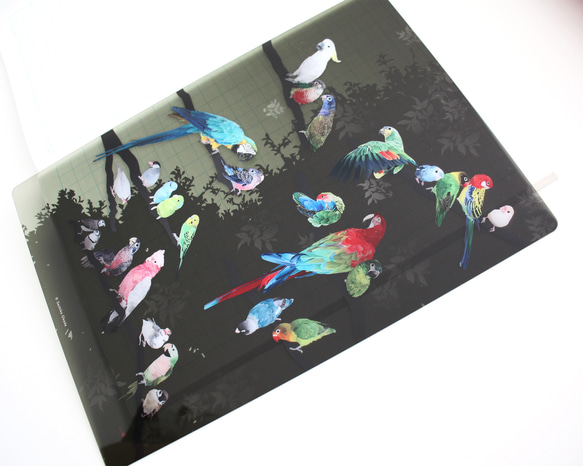 B5サイズ下敷き「彩色羽図」 6枚目の画像