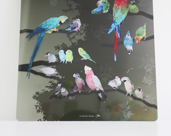 B5サイズ下敷き「彩色羽図」 3枚目の画像