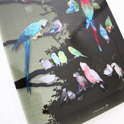 B5サイズ下敷き「彩色羽図」 5枚目の画像