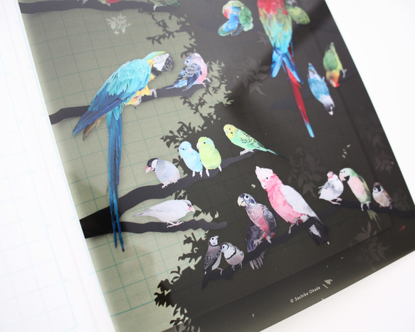 B5サイズ下敷き「彩色羽図」 5枚目の画像