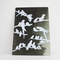 B5サイズ下敷き「彩色羽図」 7枚目の画像