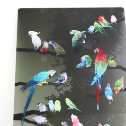 B5サイズ下敷き「彩色羽図」 2枚目の画像