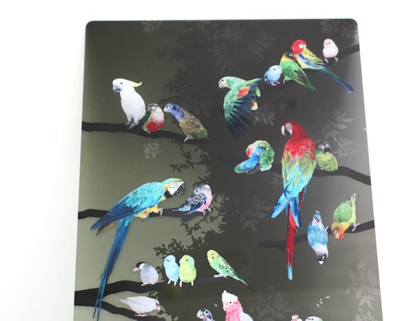 B5サイズ下敷き「彩色羽図」 2枚目の画像