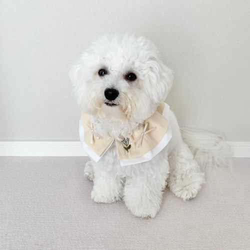 小型犬用／ダブルフリルスタイ／刺繍入り(option) ペット服