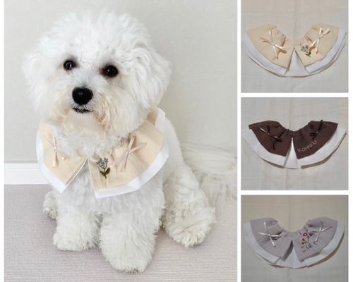 ecfd025cb84119059883365f6ea9d2