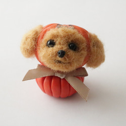 幸せを願う トイプードル ラブラドール マルプー 黒 お守り 天然石 母