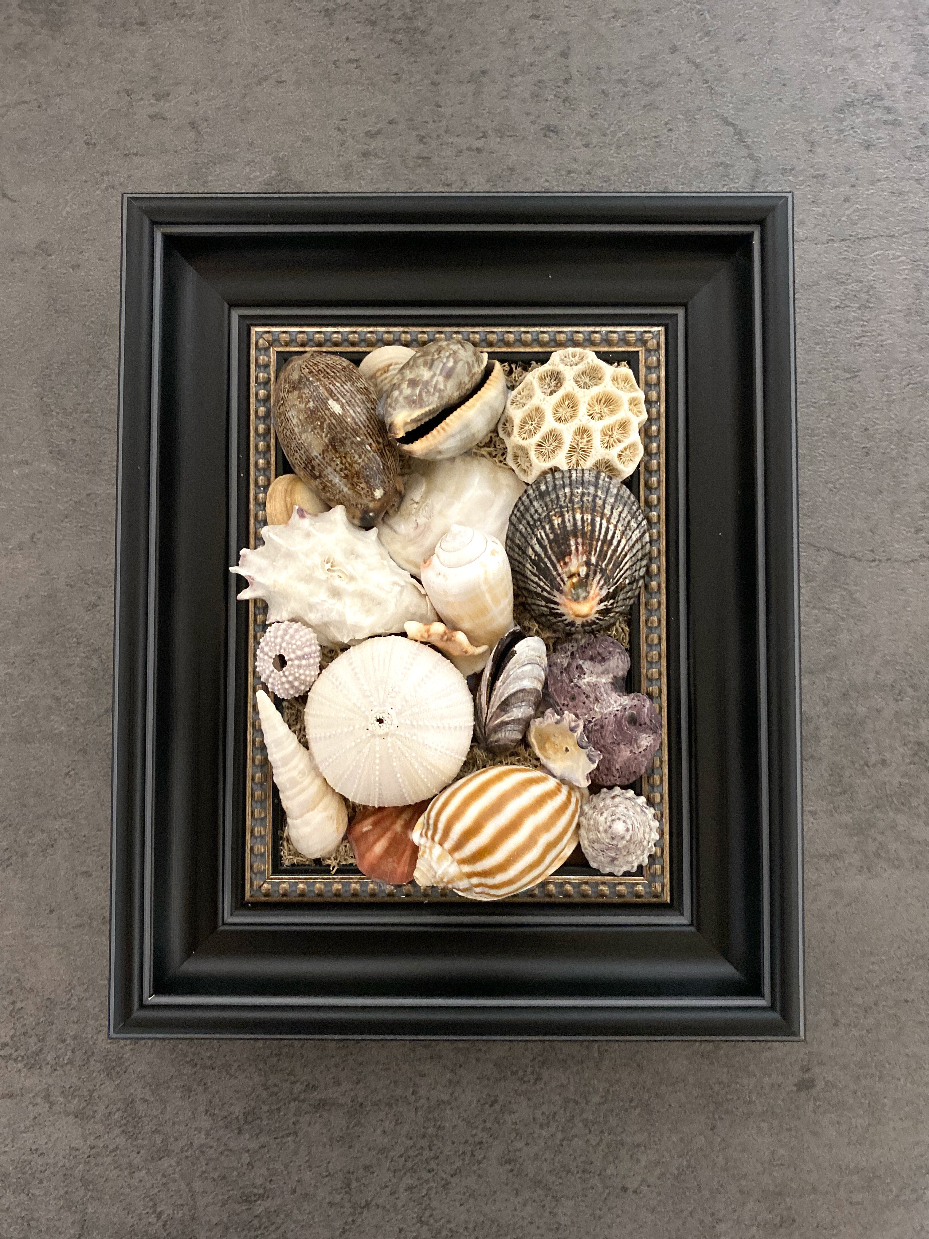 #貝殻 #フレーム #アレンジメント#男前インテリア#オシャレ#海#海好き#プレゼント