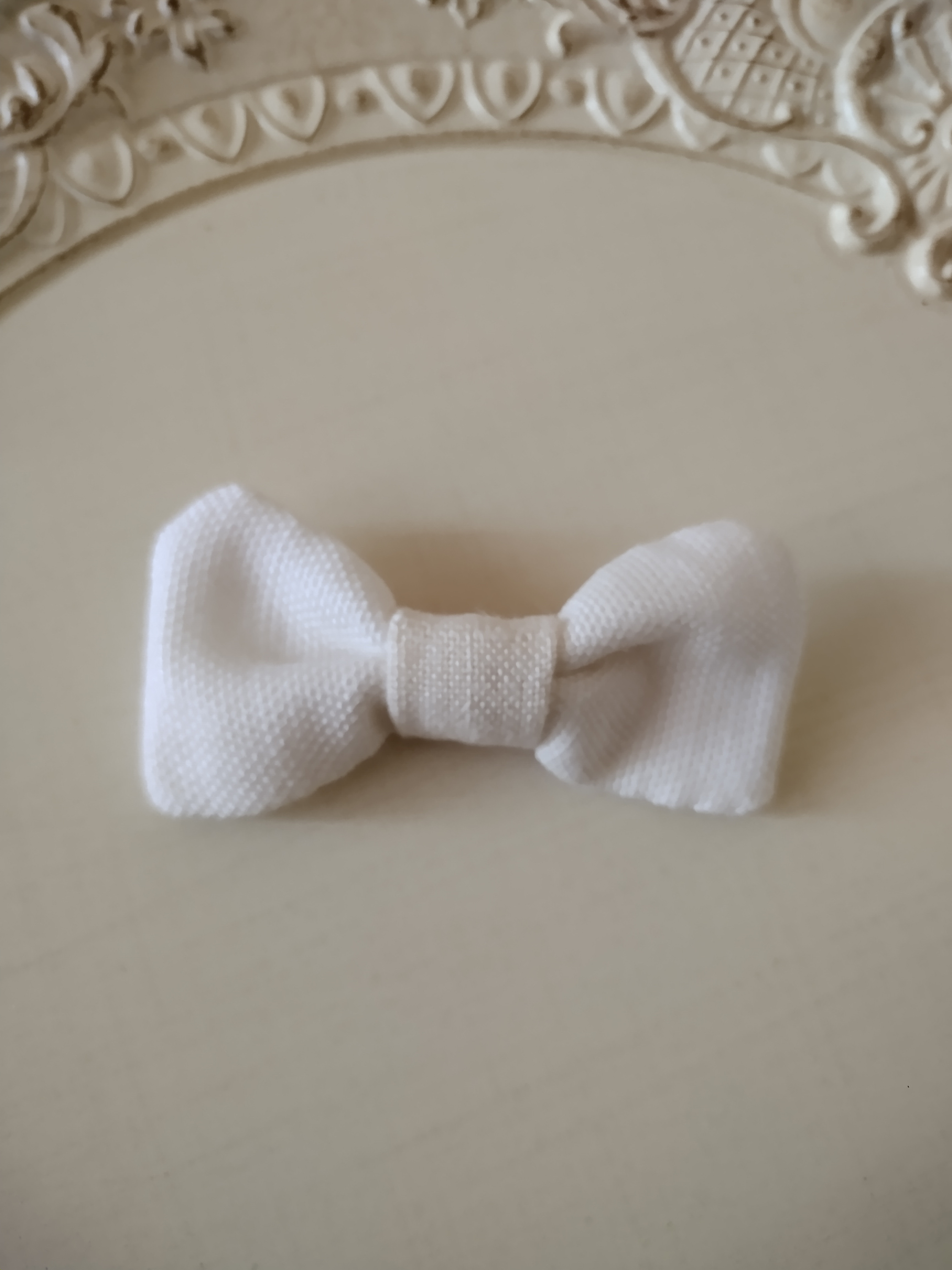 わんちゃん用 english organic cotton de oribon♥