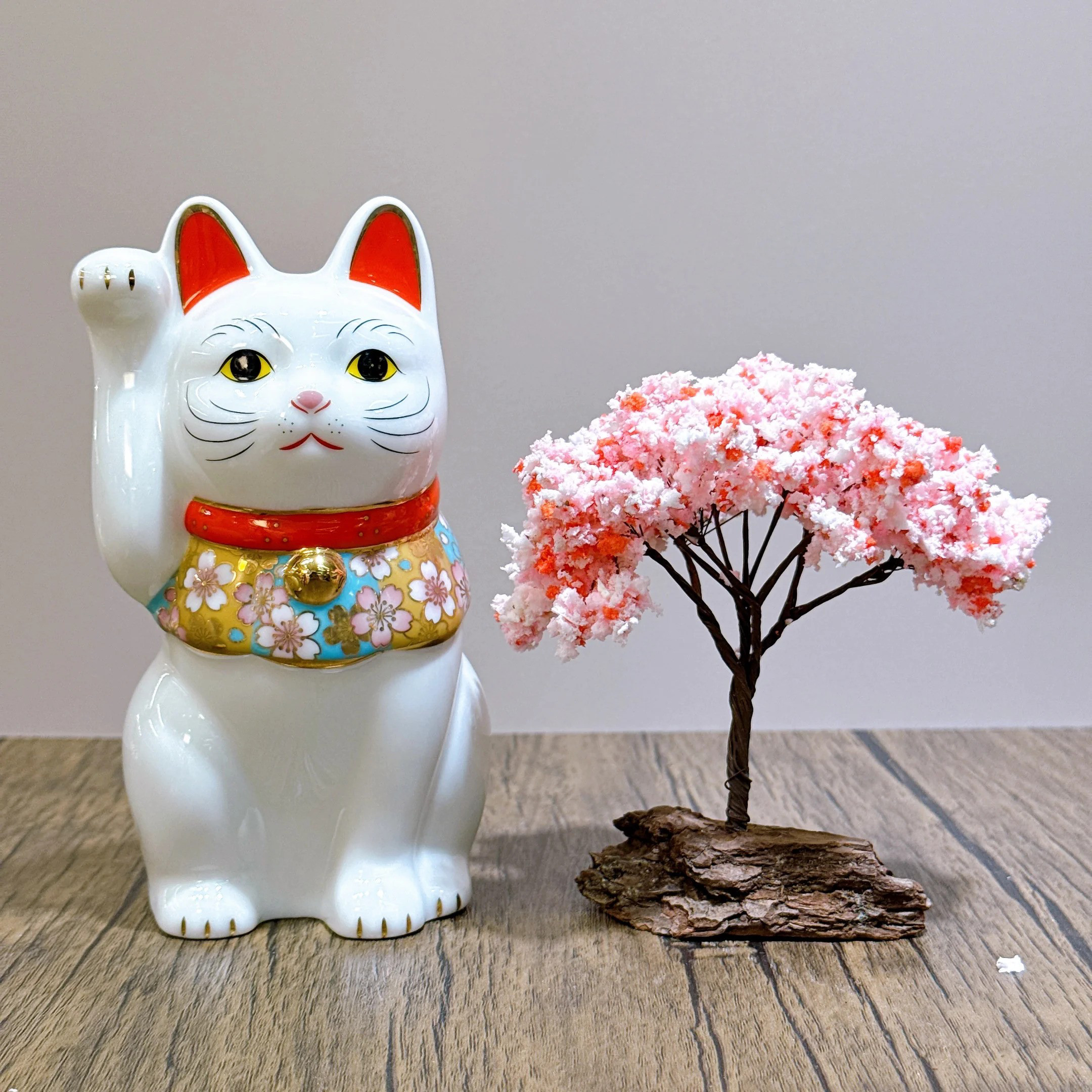 【药师窑 招き猫】 日本の薬師桜招き猫  ミディアム