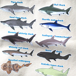 サメがいっぱいトートバッグ 2枚目の画像