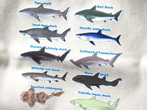 サメがいっぱいトートバッグ 2枚目の画像