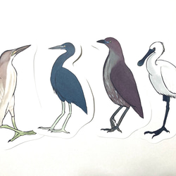 鳥のメッセージレター<サギの水辺> 3枚目の画像