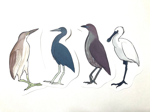 鳥のメッセージレター<サギの水辺> 3枚目の画像