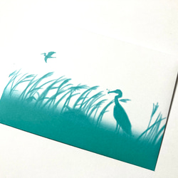 鳥のメッセージレター<サギの水辺> 5枚目の画像