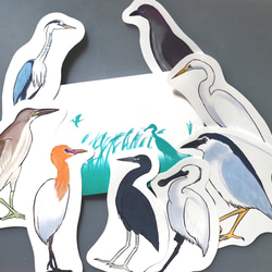 鳥のメッセージレター<サギの水辺> 1枚目の画像