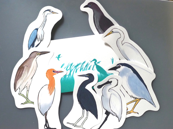 鳥のメッセージレター<サギの水辺> 1枚目の画像