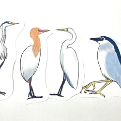 鳥のメッセージレター<サギの水辺> 2枚目の画像