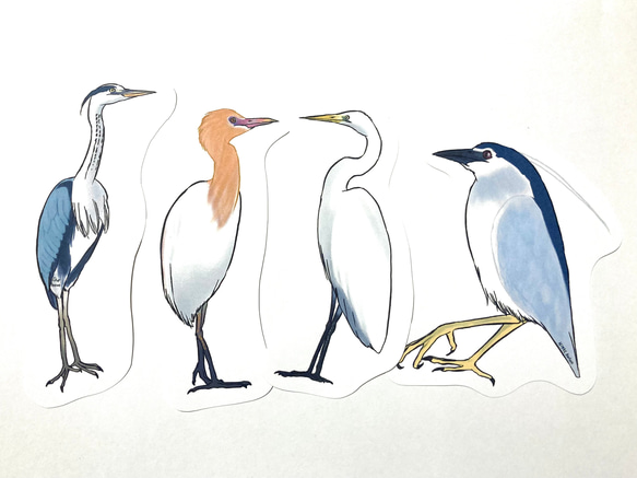 鳥のメッセージレター<サギの水辺> 2枚目の画像