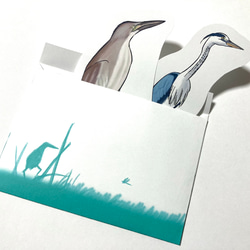 鳥のメッセージレター<サギの水辺> 4枚目の画像