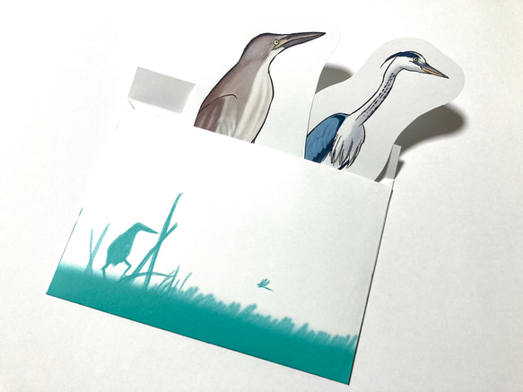 鳥のメッセージレター<サギの水辺> 4枚目の画像