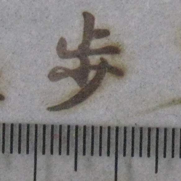 歩　電気ごて仕様焼印、電気ごてなしタイプ 3枚目の画像