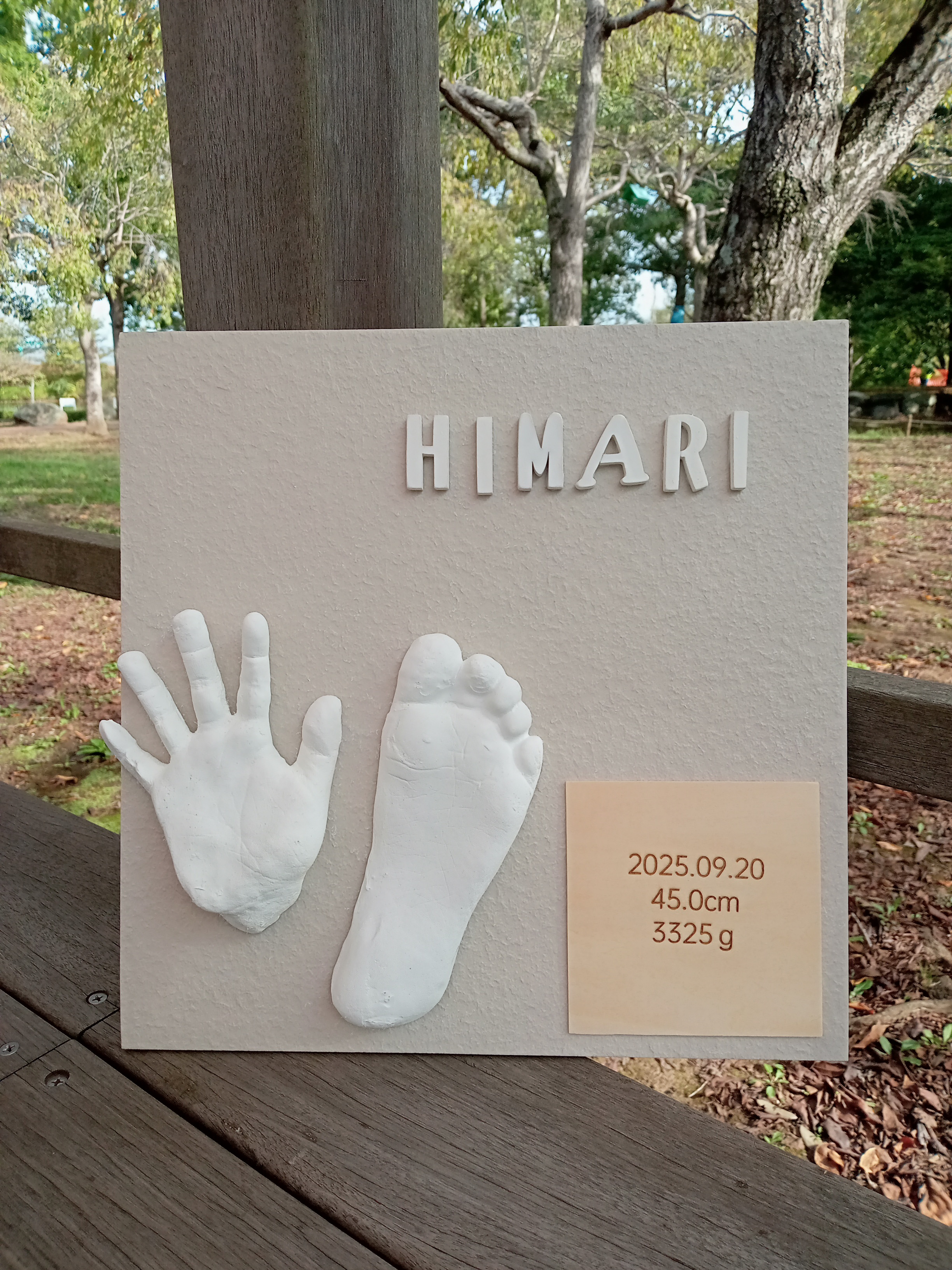 *✦＊ウェルカムベビーボード✦＊* 7ヶ月〜2歳頃