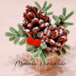 モールフラワー 松ぼっくりの鉢植え クリスマス 枯れない花 盆栽