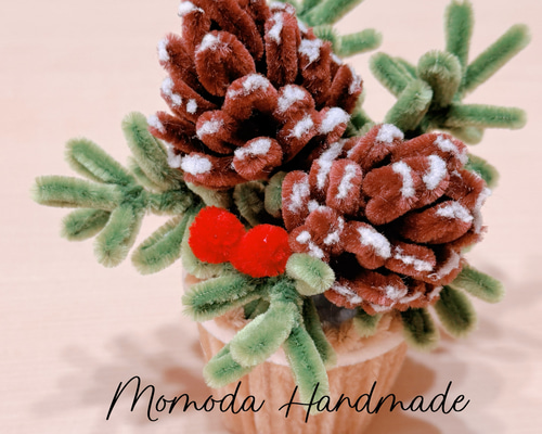 モールフラワー 松ぼっくりの鉢植え クリスマス 枯れない花 盆栽