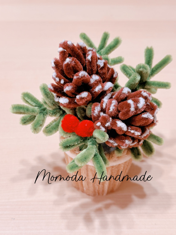 モールフラワー 松ぼっくりの鉢植え クリスマス 枯れない花 盆栽