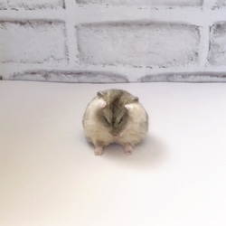 チンチラの羊毛フェルトマスコット（グレー） 羊毛フェルト little