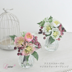 モーブピンクのクリスマスローズのマジカルウォーターアレンジ/お手入れ不要 マジカルウォーター】 1枚目の画像