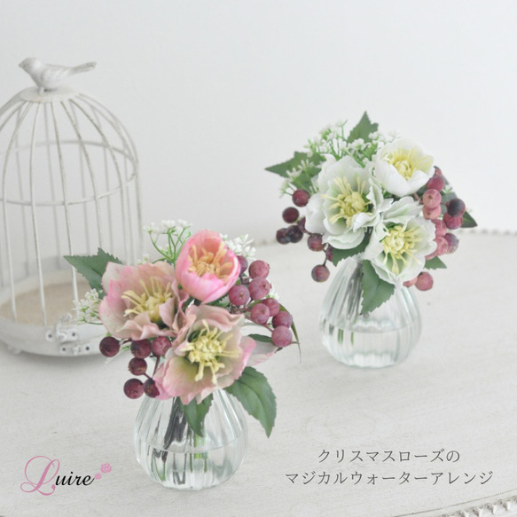 オフホワイトのクリスマスローズのマジカルウォーターアレンジ/お手入れ不要 マジカルウォーター】 5枚目の画像
