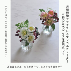 オフホワイトのクリスマスローズのマジカルウォーターアレンジ/お手入れ不要 マジカルウォーター】 2枚目の画像