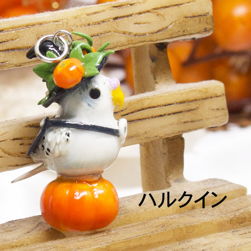 セミオーダー】ハロウィン・セキセイインコちゃんのチャーム・イヤー