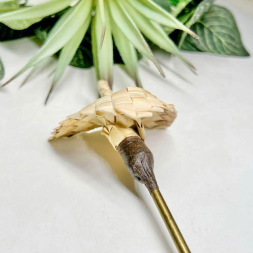 ＊オーシャンページ＊　ミニアンスリウム　ヘアピック オーシャンページ＊ ミニアンスリウム ヘアピック オーシャンページ