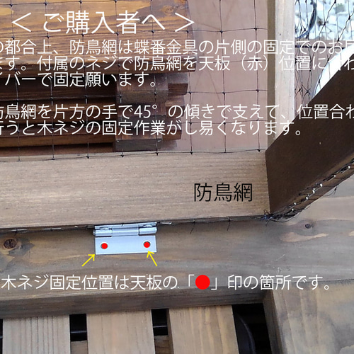 深さの有るビオトープ 120L 角型タライ＆木枠セット（3D型防鳥網付き