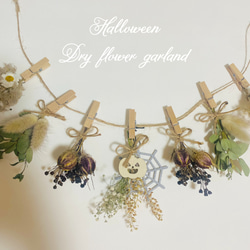 ドライフラワーガーランド♡オーダー受付♡ ♡ドライフラワーガーランド♡オーダー受付♡ アレンジ.008 ドライ