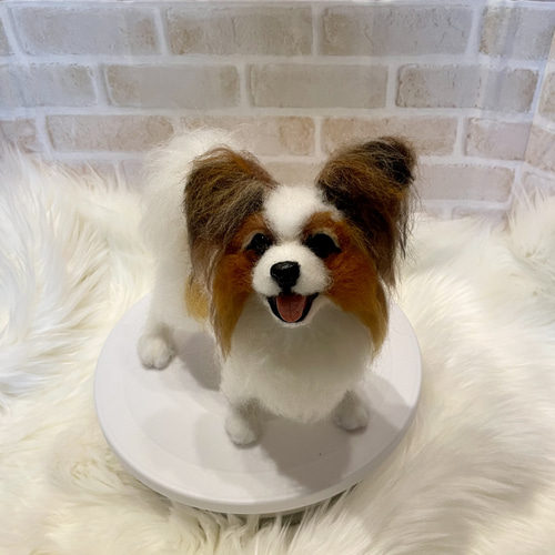 パピヨン　羊毛フェルト　momoichigo パピヨン 羊毛フェルト momoichigo パピヨン 羊毛フェルト momoichigo