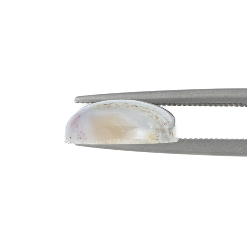 海の宝石・オーシャンジャスパー】オーシャンジャスパー 8.2ct 天然石