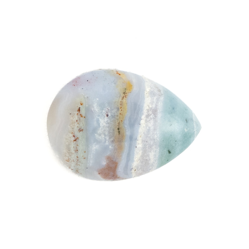 オーシャンジャスパー ホワイトダルメシアン オーシャンジャスパー ホワイトダルメシアン