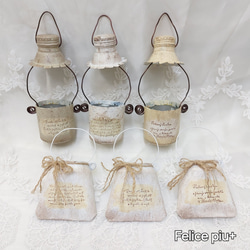 リメイク鉢 リメ鉢 2号鉢8点セット 多肉植物A-35 多肉植物 Felice piu