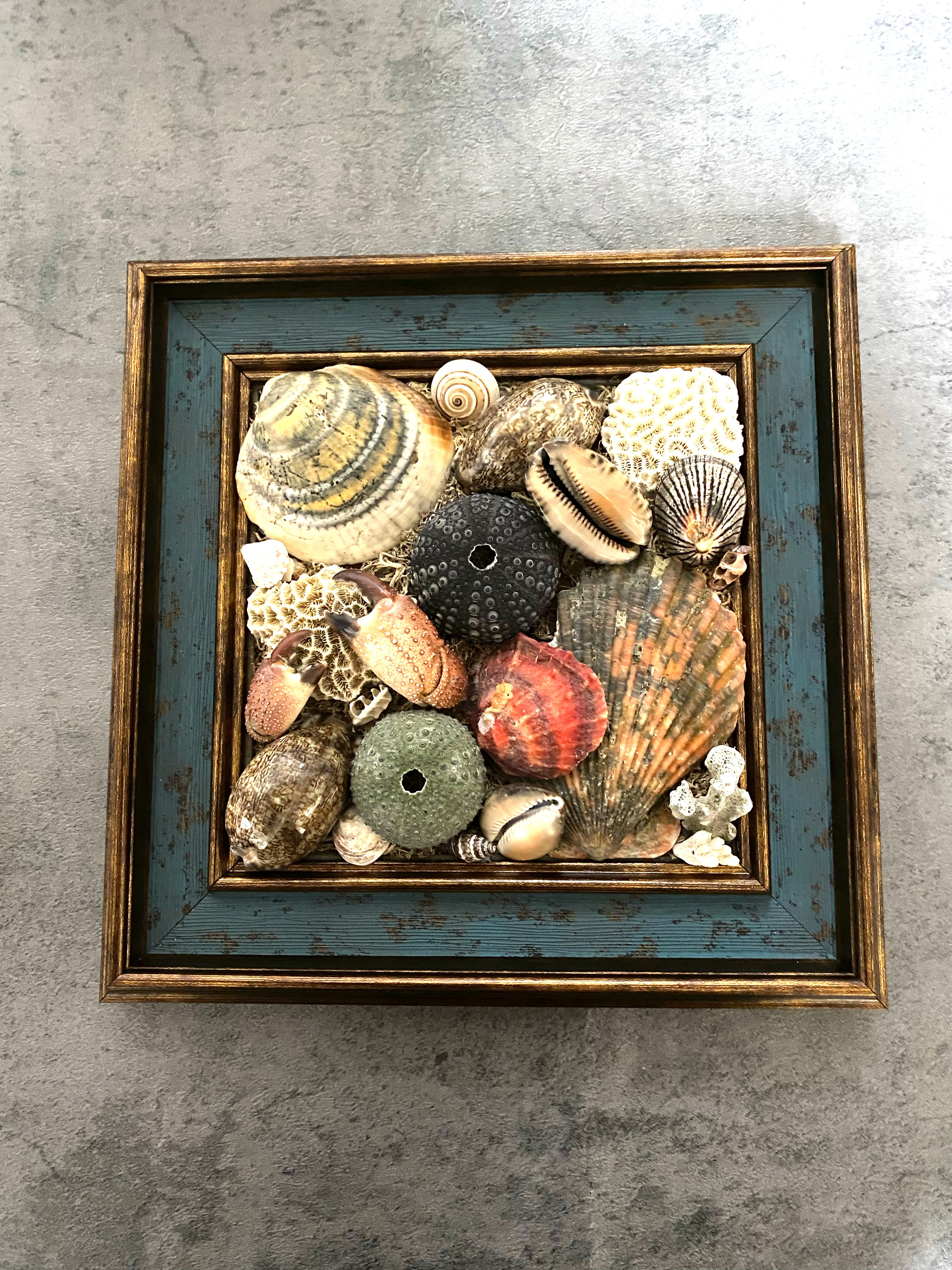 #貝殻　#フレーム　#アレンジメント#男前インテリア#オシャレ#海#海好き#プレゼント